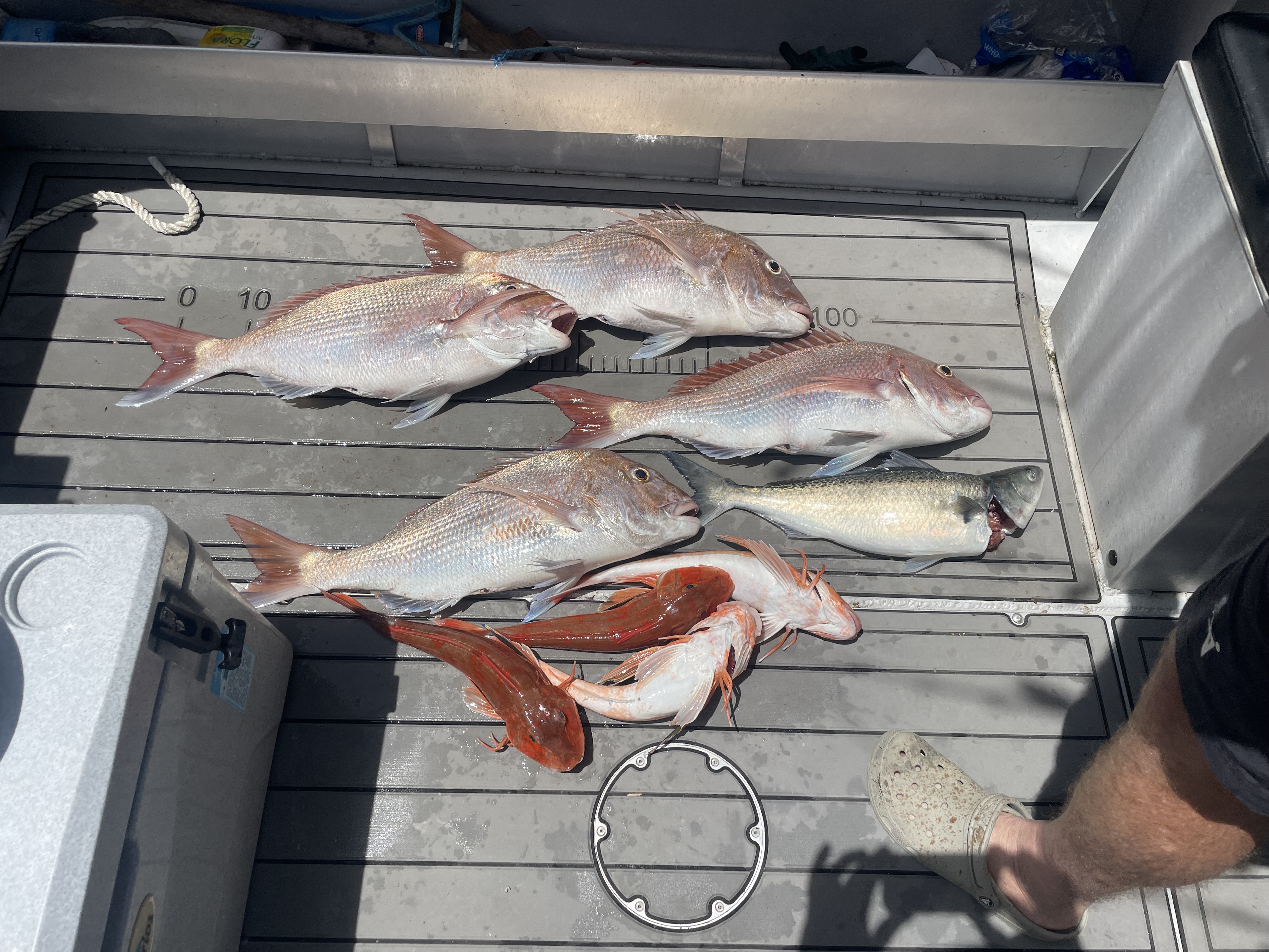 Name:  IMG_7046.jpeg
Views: 71
Size:  3.21 MB