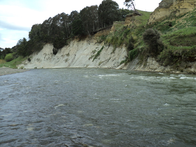 Name:  picture 4353.jpg
Views: 242
Size:  164.0 KB