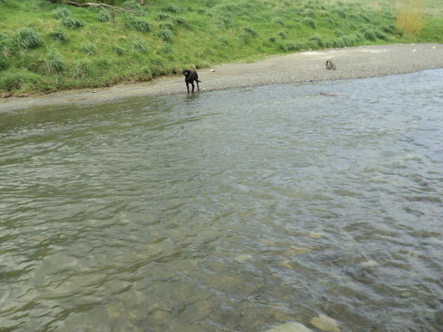 Name:  picture 4354.jpg
Views: 290
Size:  164.0 KB