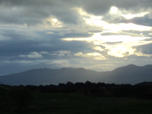 Name:  picture 4356.jpg
Views: 210
Size:  162.7 KB