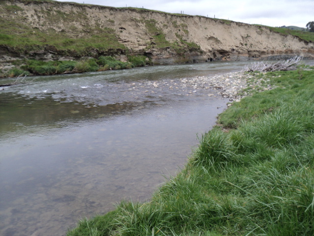 Name:  picture 4384.jpg
Views: 407
Size:  162.7 KB
