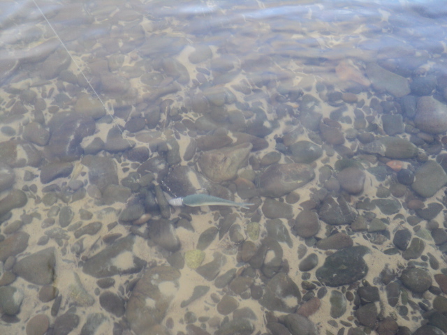 Name:  picture 4392.jpg
Views: 1141
Size:  163.2 KB