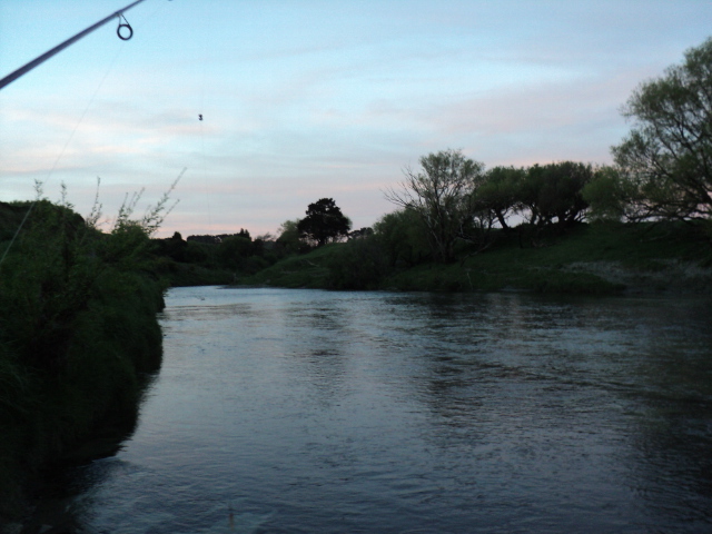Name:  picture 4414.jpg
Views: 480
Size:  163.1 KB