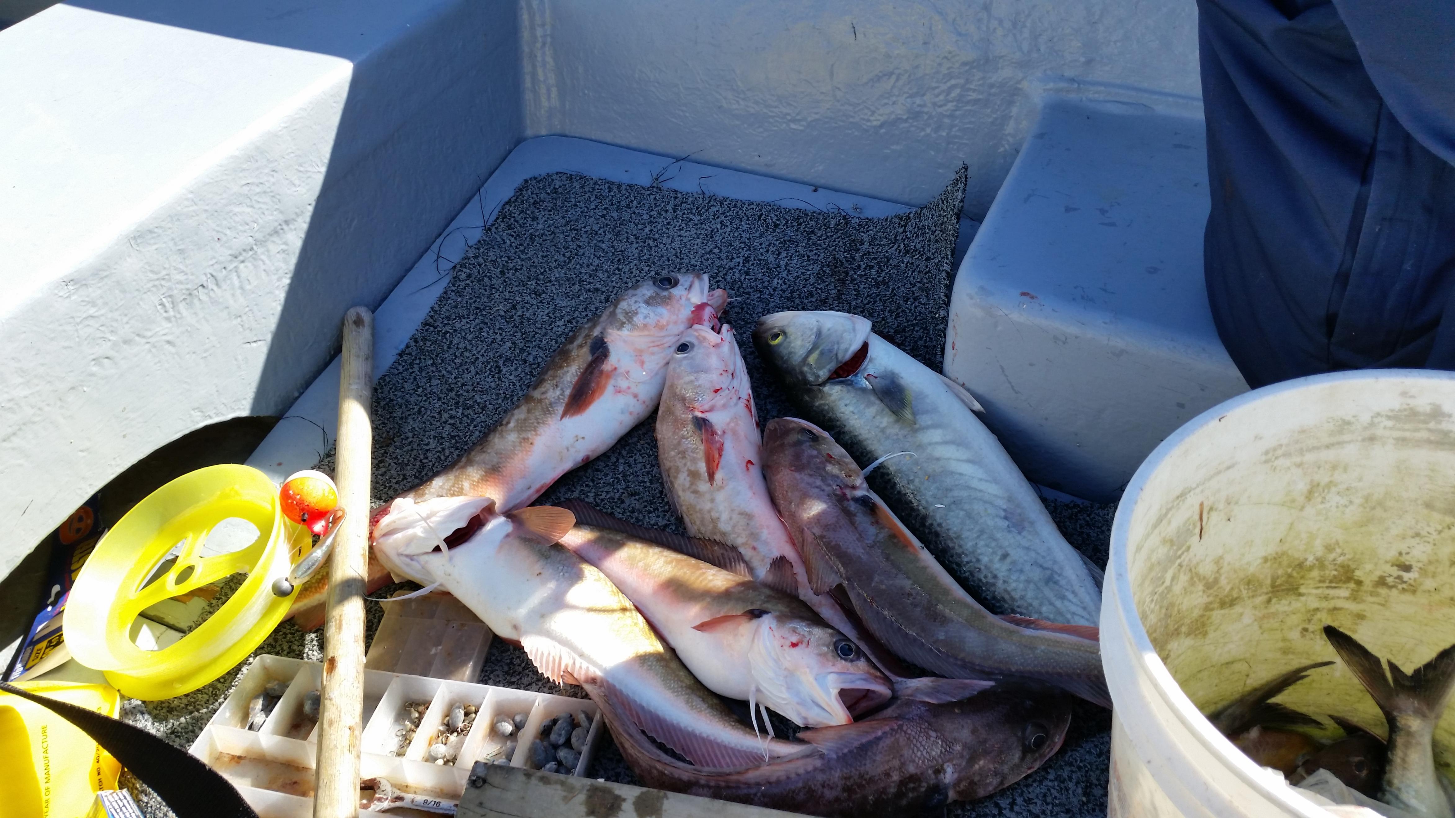 Name:  20141011_161644.jpg
Views: 406
Size:  1.01 MB