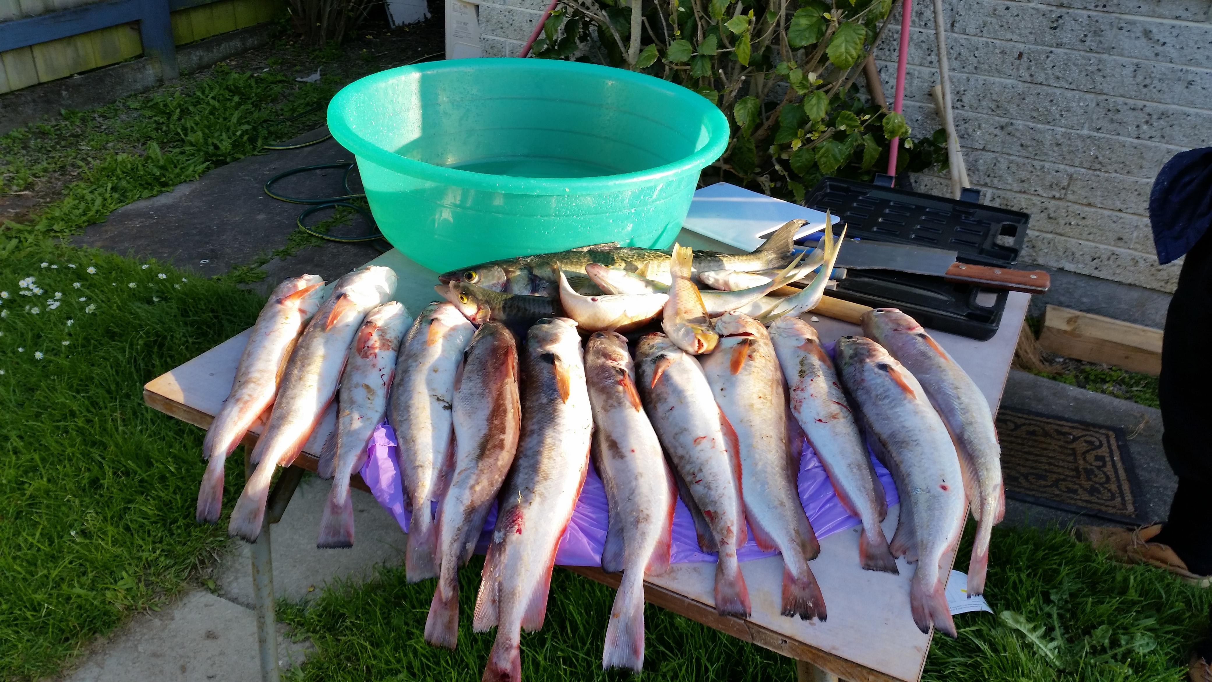 Name:  20141011_183116.jpg
Views: 404
Size:  1.06 MB