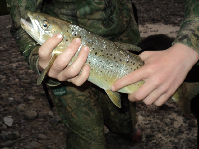 Name:  picture 4443.jpg
Views: 372
Size:  164.6 KB