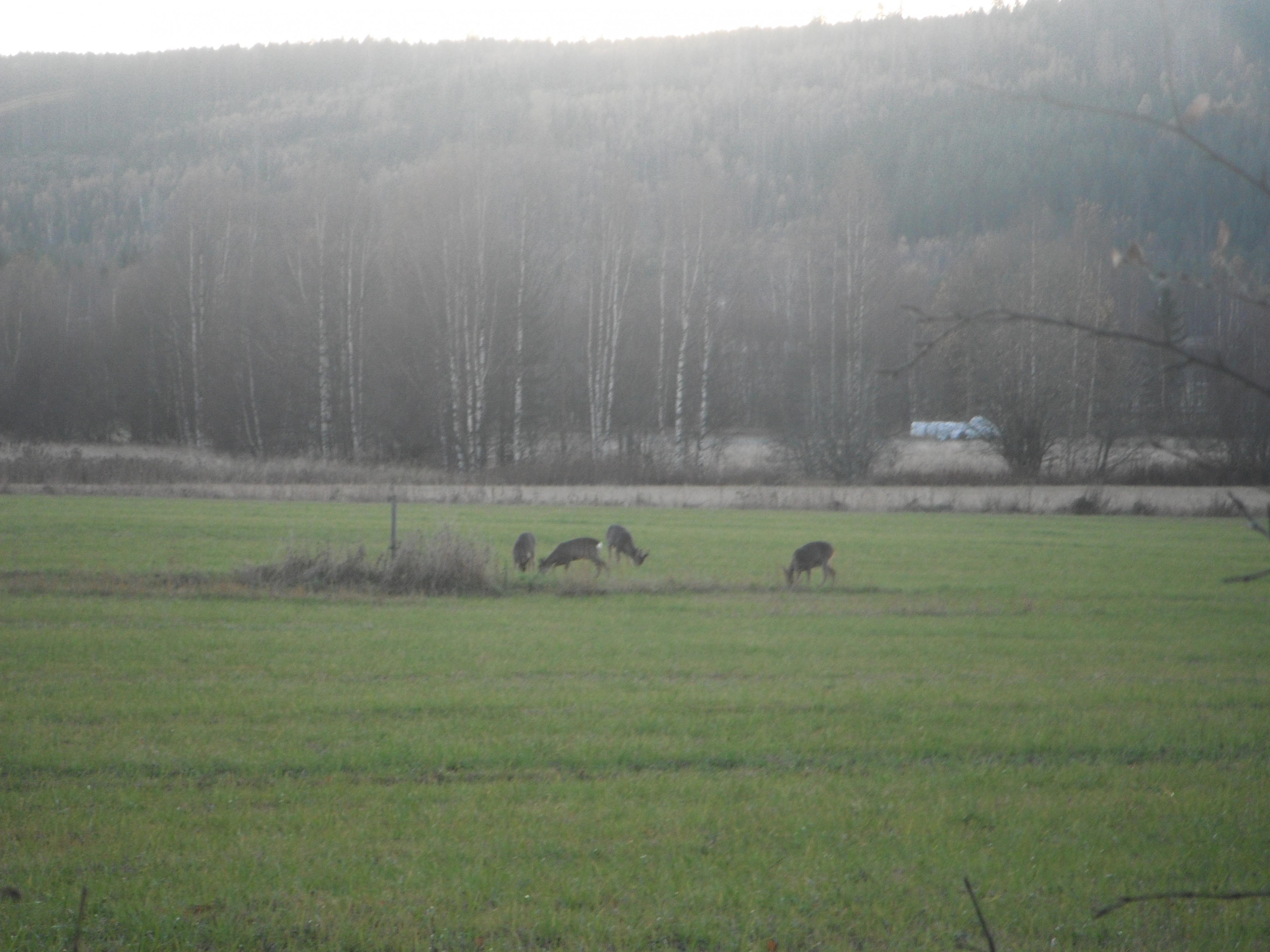 Name:  DSCF8278.jpg
Views: 438
Size:  973.5 KB