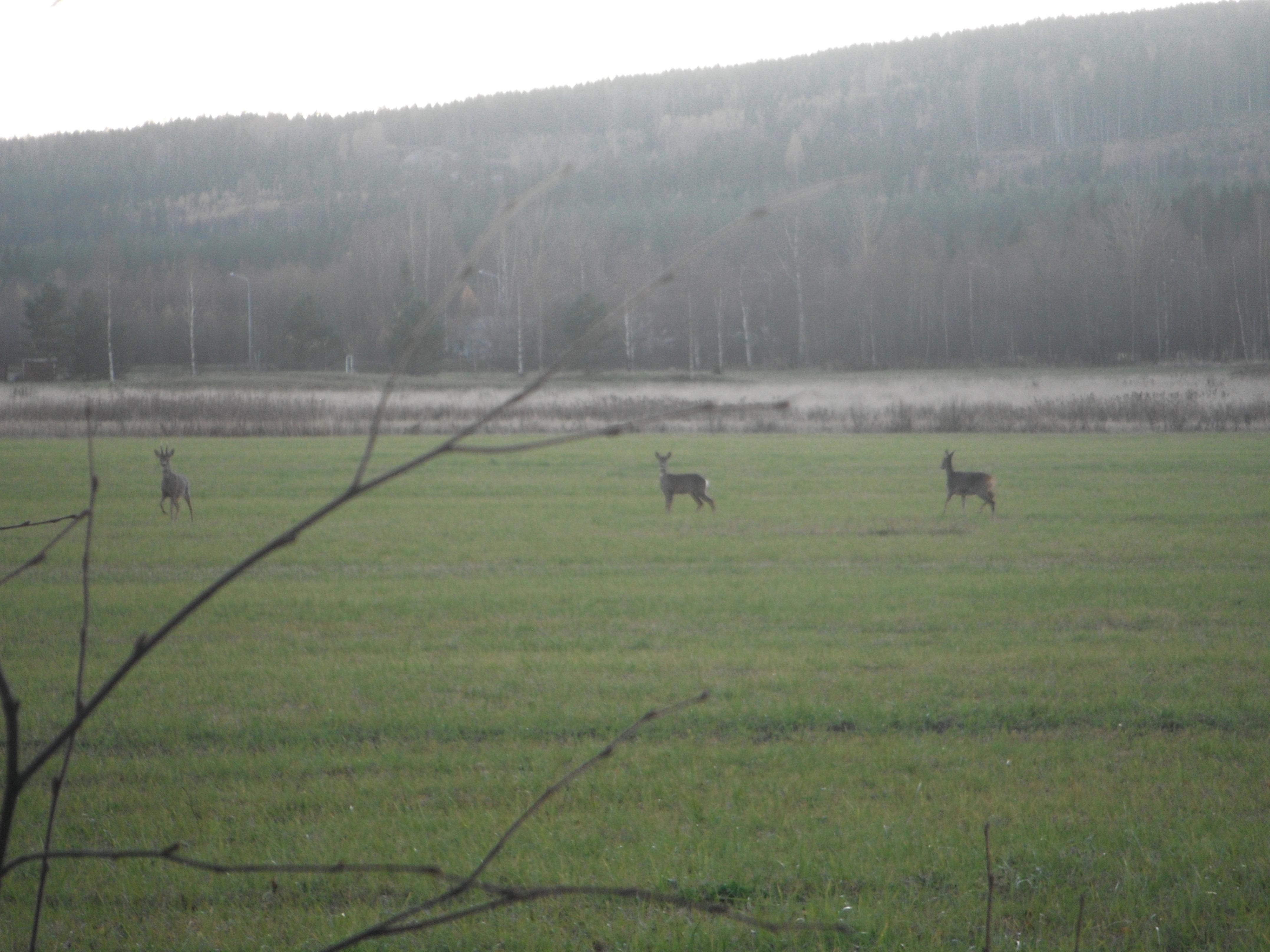 Name:  DSCF8281.jpg
Views: 437
Size:  972.0 KB
