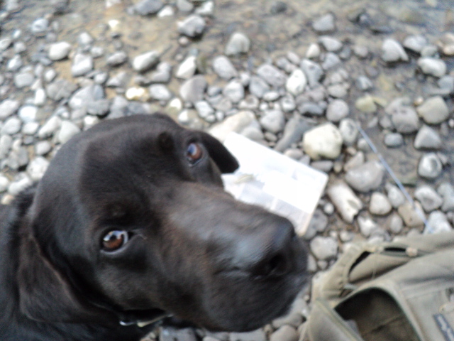 Name:  picture 4563.jpg
Views: 237
Size:  163.7 KB