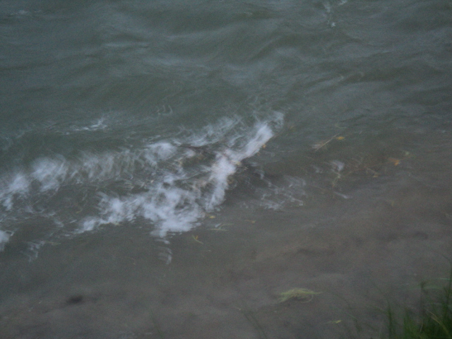Name:  picture 4535.jpg
Views: 223
Size:  165.2 KB