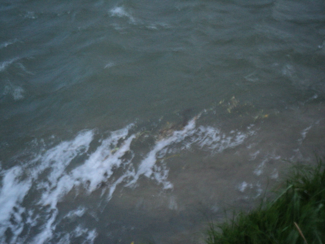 Name:  picture 4537.jpg
Views: 228
Size:  163.2 KB