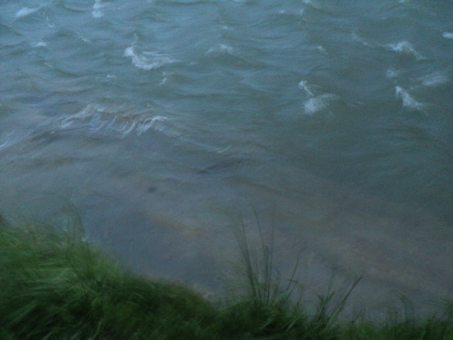 Name:  picture 4538.jpg
Views: 222
Size:  161.7 KB