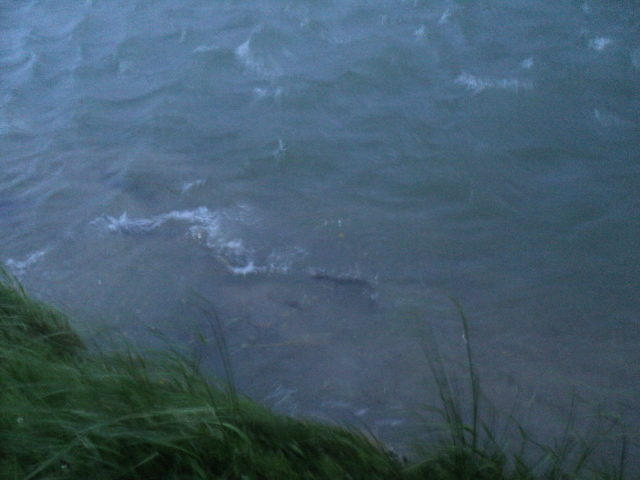 Name:  picture 4539.jpg
Views: 241
Size:  161.1 KB