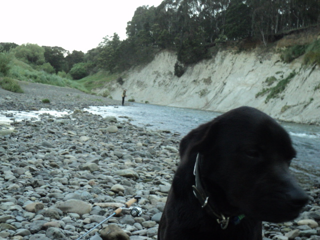 Name:  picture 4566.jpg
Views: 202
Size:  163.8 KB