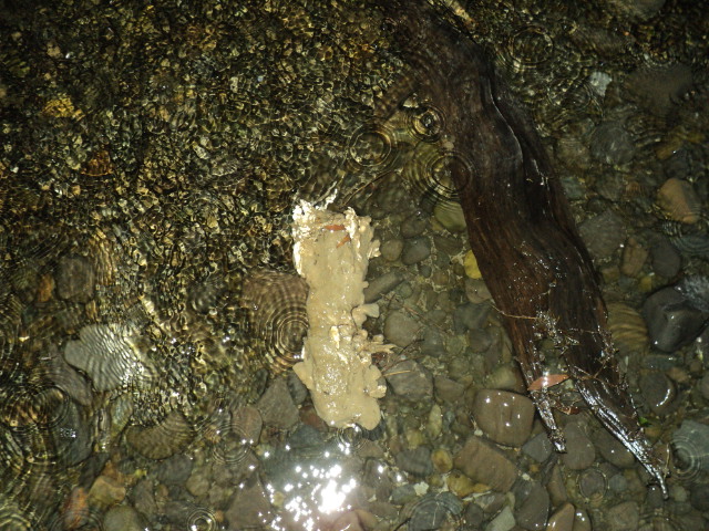 Name:  picture 4573.jpg
Views: 291
Size:  165.1 KB