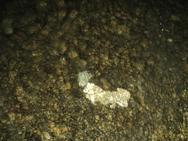 Name:  picture 4574.jpg
Views: 216
Size:  164.8 KB