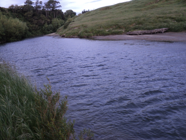 Name:  picture 4676.jpg
Views: 238
Size:  162.8 KB