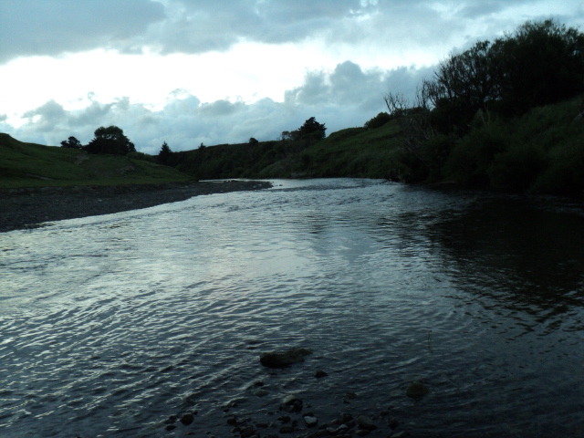 Name:  picture 4698.jpg
Views: 281
Size:  165.2 KB