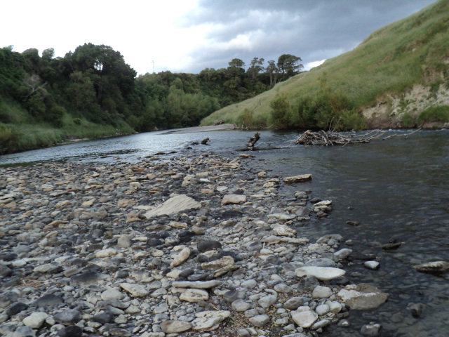 Name:  picture 4708.jpg
Views: 237
Size:  164.5 KB