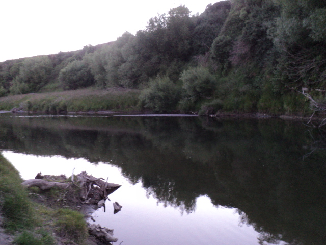 Name:  picture 4715.jpg
Views: 257
Size:  165.3 KB