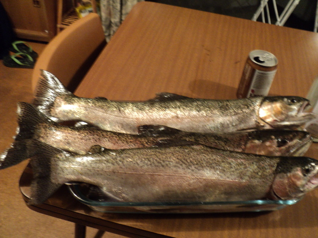 Name:  picture 4735.jpg
Views: 251
Size:  162.6 KB