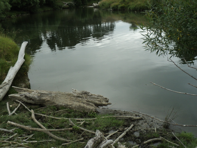 Name:  picture 4877.jpg
Views: 468
Size:  165.1 KB