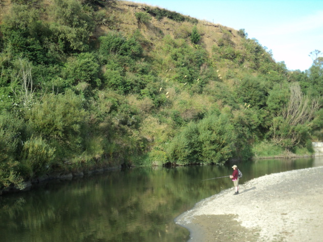 Name:  picture 4899.jpg
Views: 370
Size:  163.9 KB