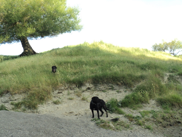 Name:  picture 4901.jpg
Views: 310
Size:  163.0 KB