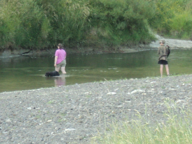 Name:  picture 4902.jpg
Views: 330
Size:  164.5 KB