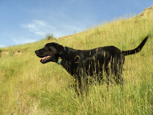 Name:  picture 4903.jpg
Views: 326
Size:  164.2 KB