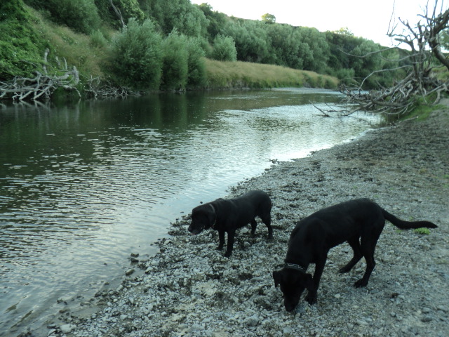 Name:  picture 4906.jpg
Views: 330
Size:  163.1 KB