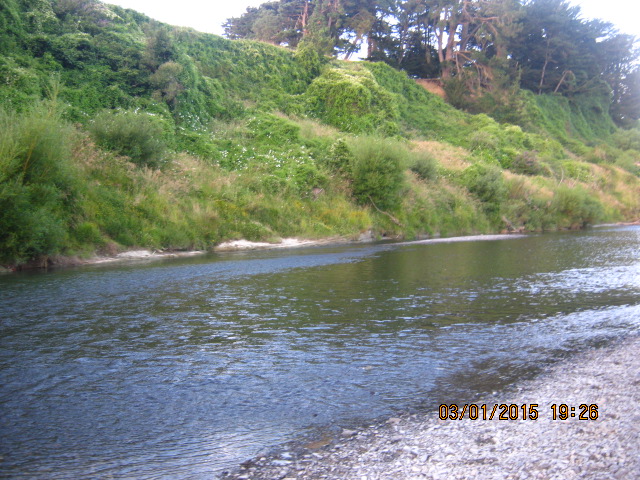 Name:  IMG_2474.JPG
Views: 297
Size:  172.1 KB