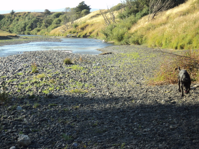 Name:  picture 4953.jpg
Views: 764
Size:  164.0 KB