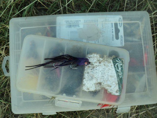 Name:  picture 4957.jpg
Views: 752
Size:  163.4 KB