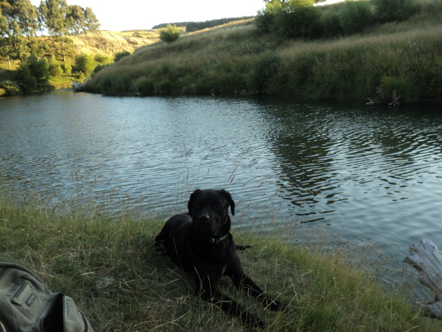 Name:  picture 4958.jpg
Views: 780
Size:  164.5 KB
