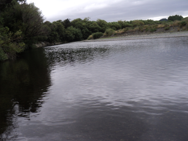 Name:  picture 4993.jpg
Views: 279
Size:  161.7 KB