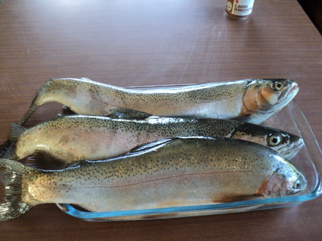 Name:  picture 5026.jpg
Views: 251
Size:  163.2 KB