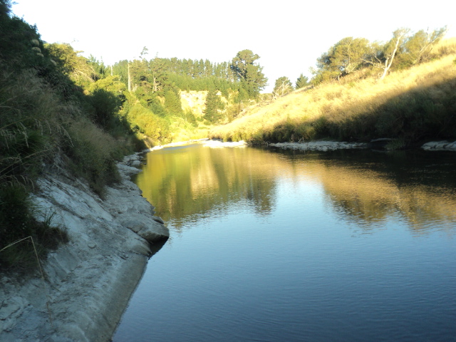 Name:  picture 5035.jpg
Views: 270
Size:  164.9 KB