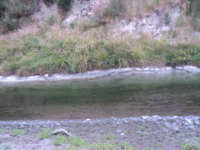 Name:  picture 5110.jpg
Views: 245
Size:  163.3 KB