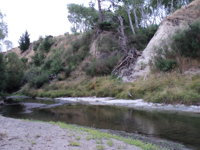 Name:  picture 5111.jpg
Views: 242
Size:  162.9 KB