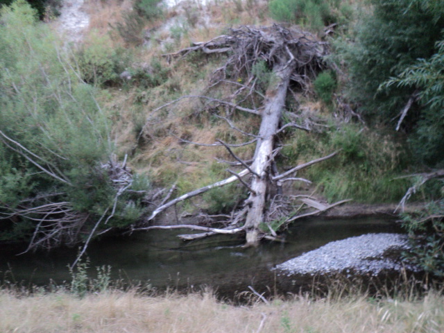 Name:  picture 5114.jpg
Views: 242
Size:  163.1 KB