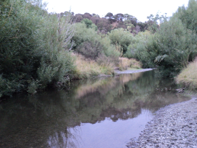 Name:  picture 5117.jpg
Views: 257
Size:  165.2 KB