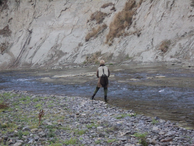 Name:  picture 5137.jpg
Views: 204
Size:  165.1 KB