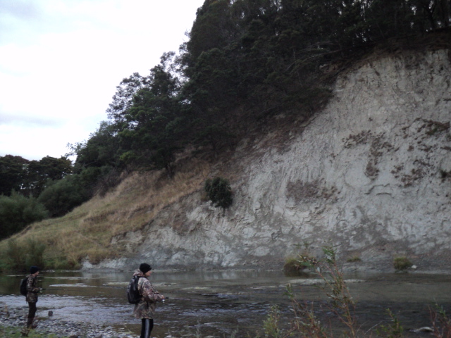Name:  picture 5138.jpg
Views: 206
Size:  163.8 KB