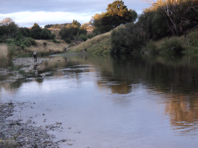 Name:  picture 5139.jpg
Views: 207
Size:  161.5 KB