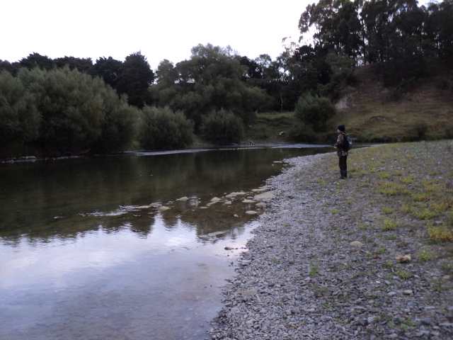 Name:  picture 5140.jpg
Views: 210
Size:  163.9 KB