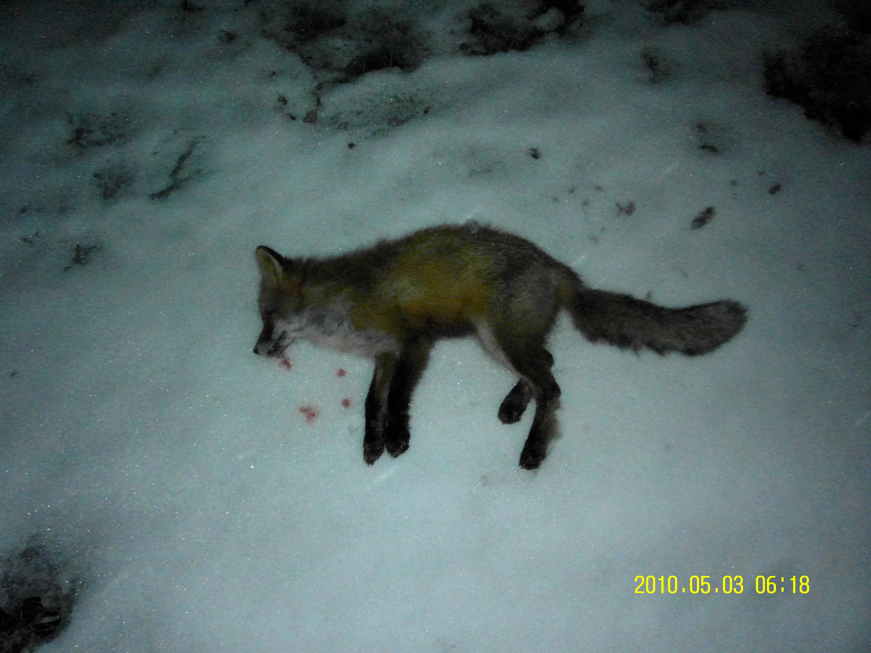 Name:  SAM_4190.jpg
Views: 355
Size:  898.1 KB