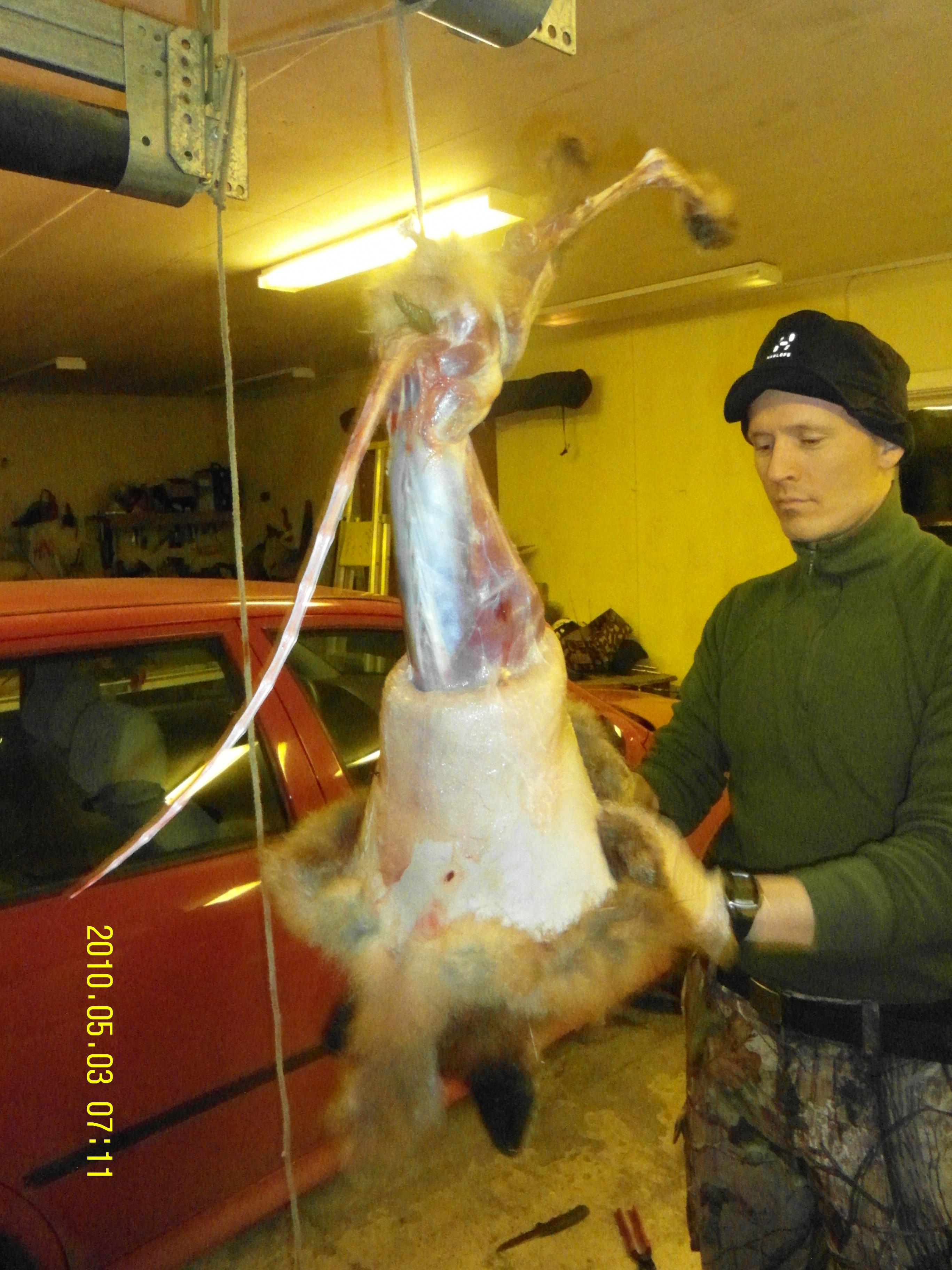 Name:  SAM_4194.jpg
Views: 317
Size:  932.7 KB
