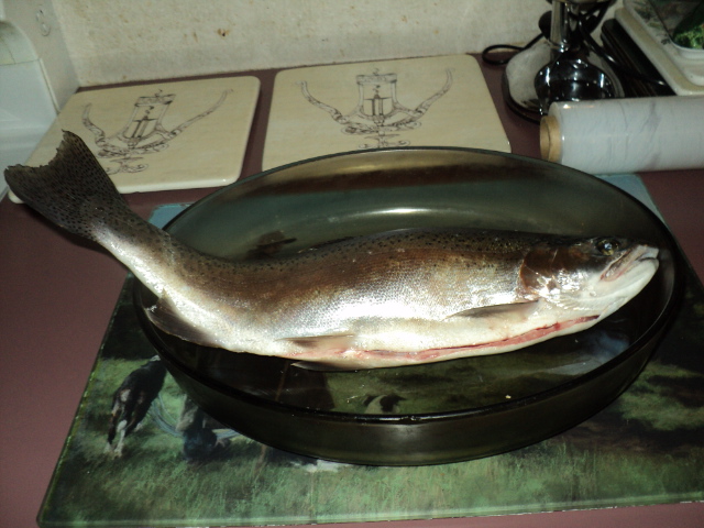 Name:  picture 5638.jpg
Views: 221
Size:  162.2 KB
