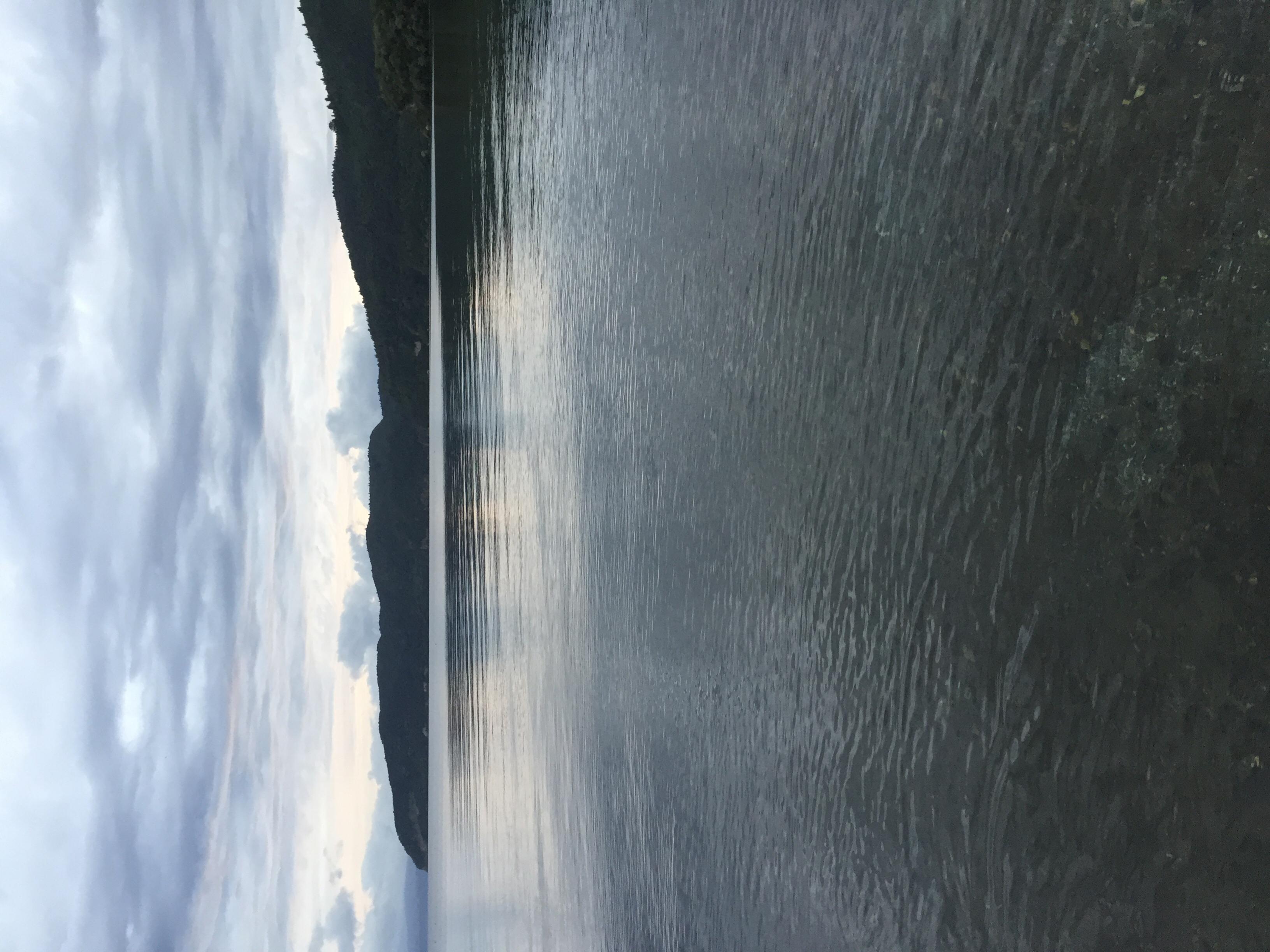 Name:  image.jpg
Views: 164
Size:  663.0 KB